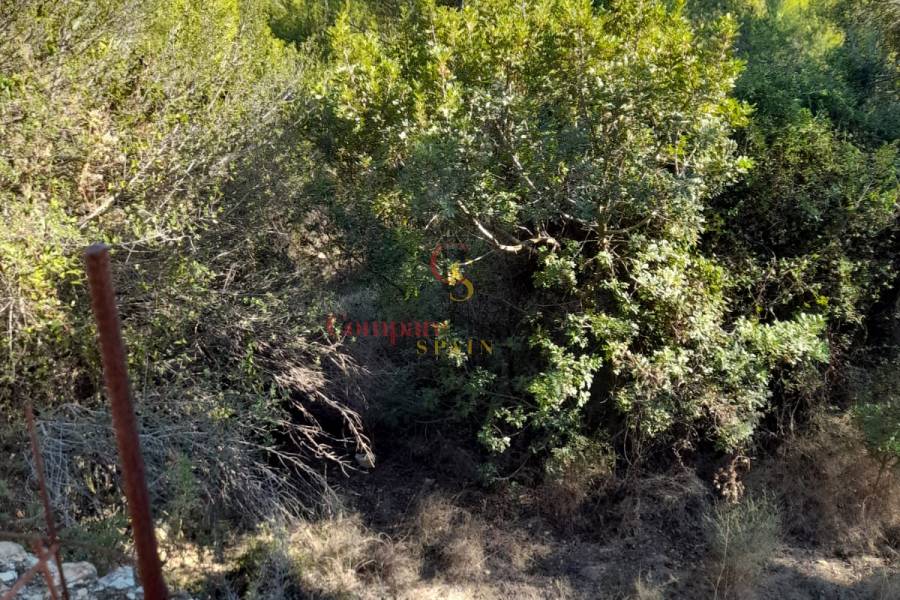 Verkauf - Plot - Orba Valley - 