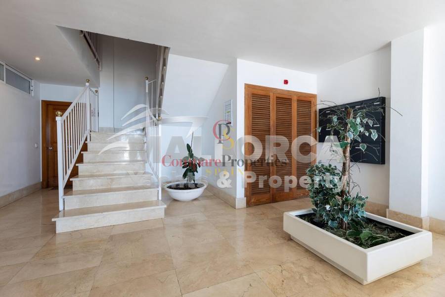 Vente - Apartment - Palma de Mallorca - Ciudad Jardin