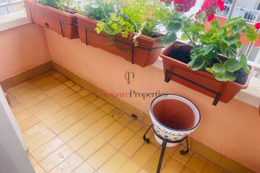 - Apartment - L'Alqueria de la Comtessa - 