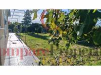 Sale - Apartment - Oliva - 