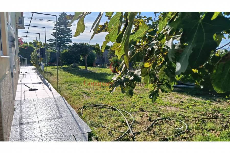 Sale - Apartment - Oliva - 