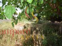 Sale - Villa - Jávea - Javea