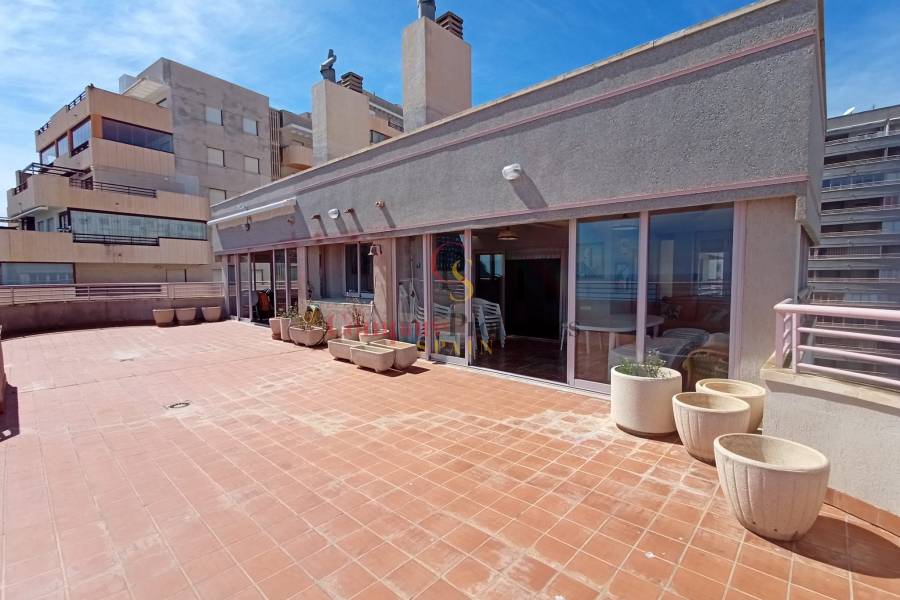 Verkauf - Apartment - Calpe