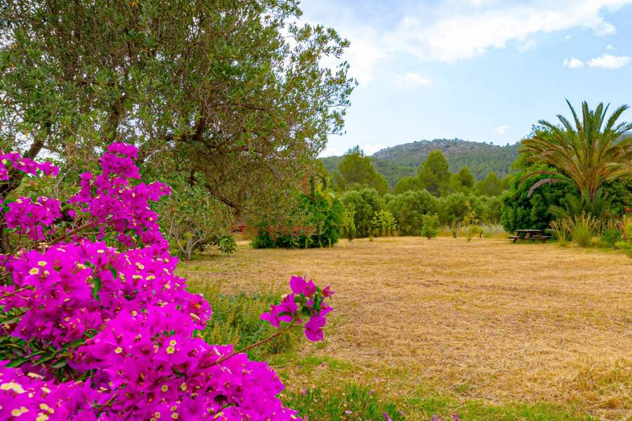 Sale - Villa - Jalon Valley - Campo