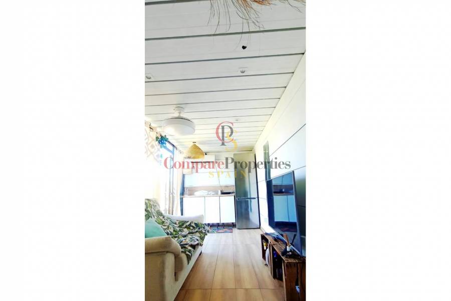 Sale - Apartment - Oliva - 
