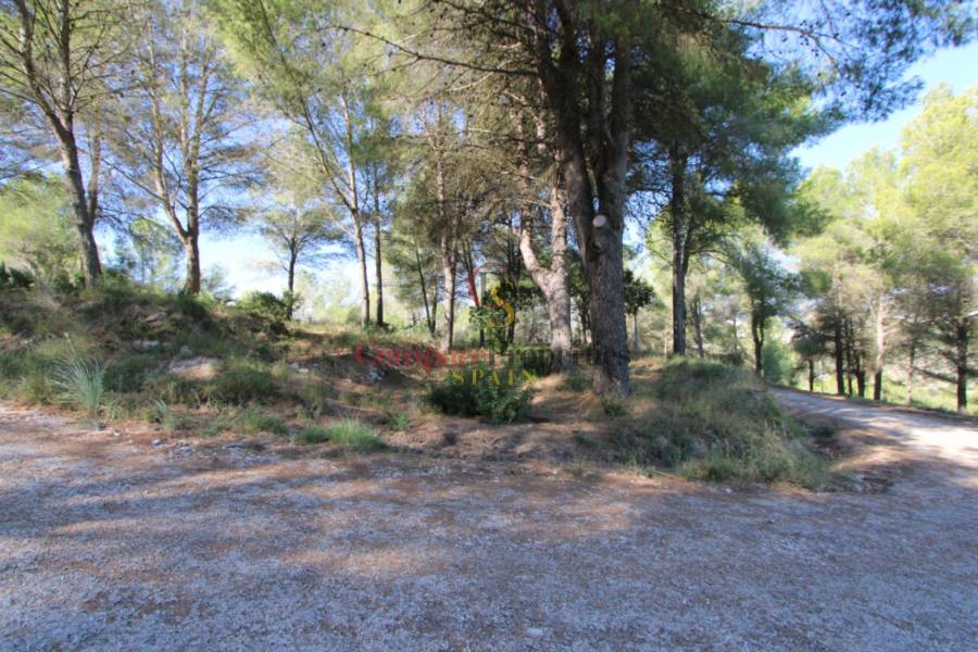 Vente - Villa - Benissa