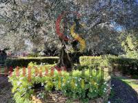 Venta - Villa - Ondara