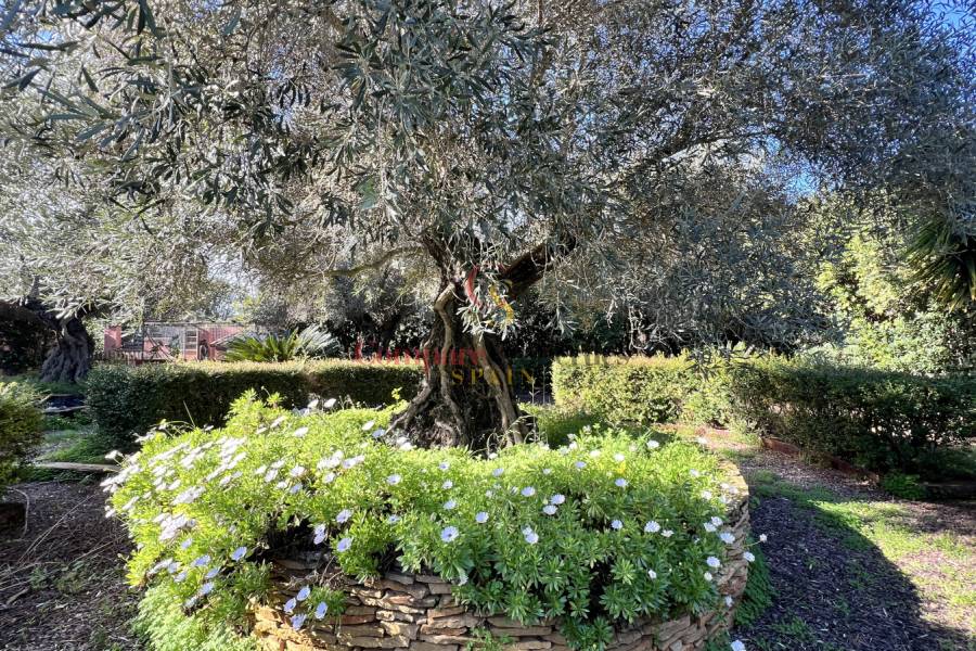 Venta - Villa - Ondara