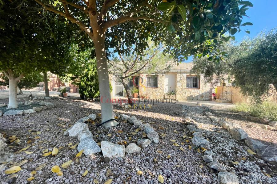 Verkoop - Villa - Crevillente