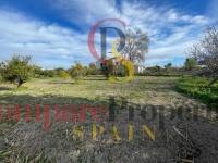 Vente - Villa - Benejuzar - Comunidad Valenciana