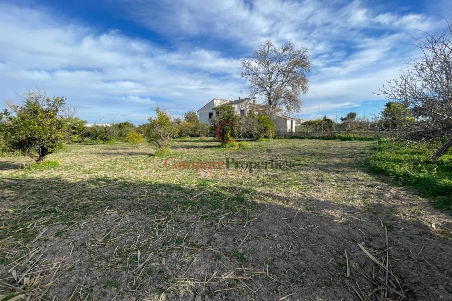 Vente - Villa - Benejuzar - Comunidad Valenciana