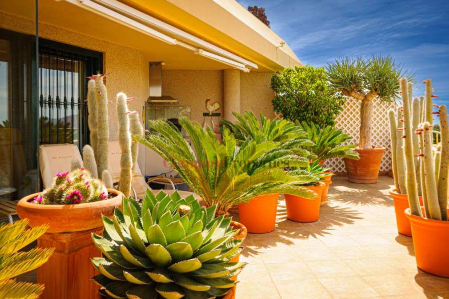 Vente - Apartment - Altea - Altea la Vieja