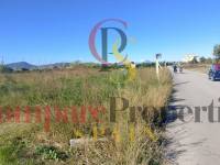 Sale - Apartment - Oliva - 