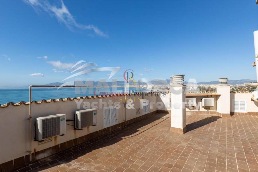 Vente - Apartment - Palma de Mallorca - Ciudad Jardin