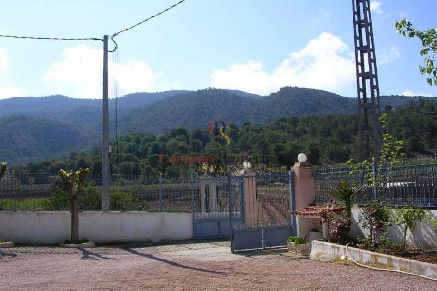 Venta - Villa - Vinalopo - Hondon De Las Nieves