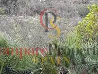 Verkauf - Plot - Orba Valley - 