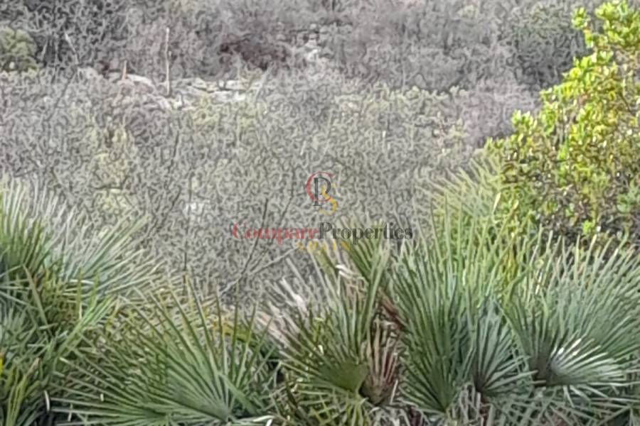 Verkauf - Plot - Orba Valley - 