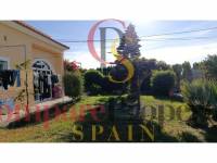 Sale - Apartment - Oliva - 