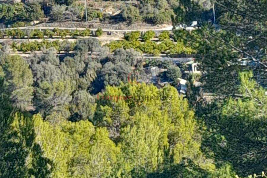 Verkauf - Plot - Orba Valley - 