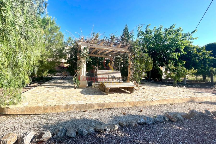 Verkoop - Villa - Crevillente