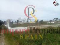 Sale - Apartment - Oliva - 