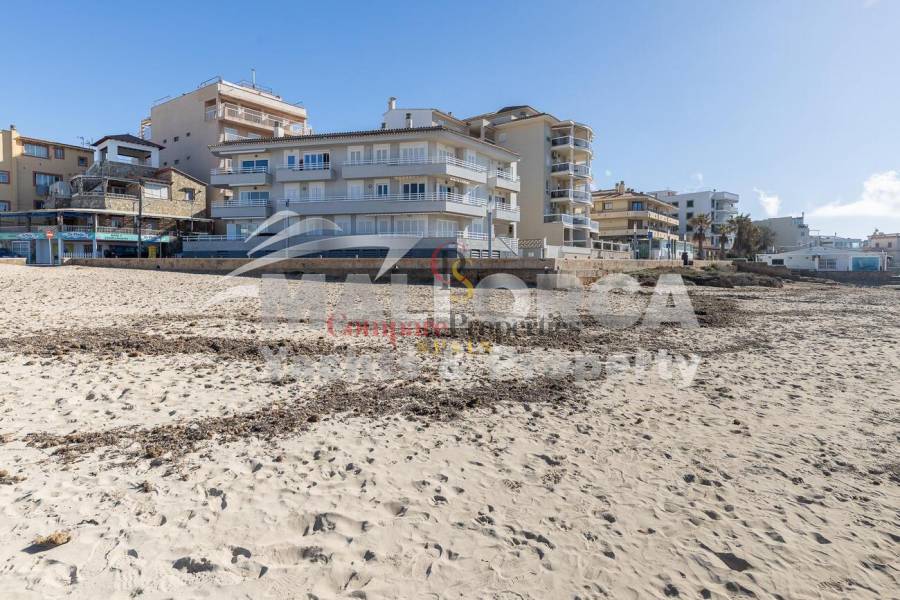 Vente - Apartment - Palma de Mallorca - Ciudad Jardin