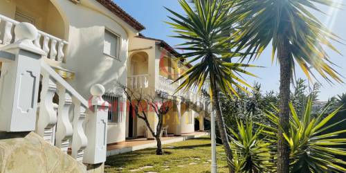 Apartment - Sale - Oliva - Oliva