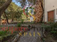 Vente - Apartment - Sa Pobla - Mallorca