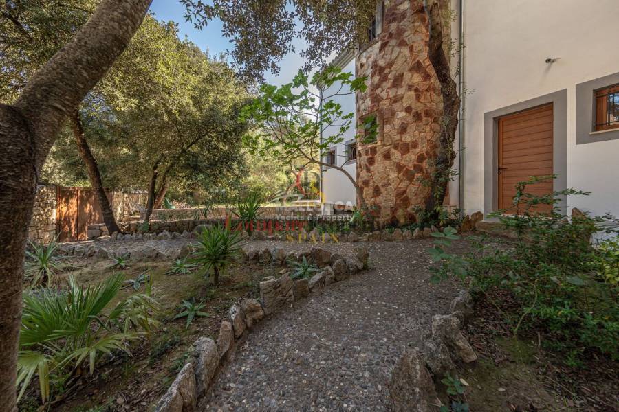 Vente - Apartment - Sa Pobla - Mallorca