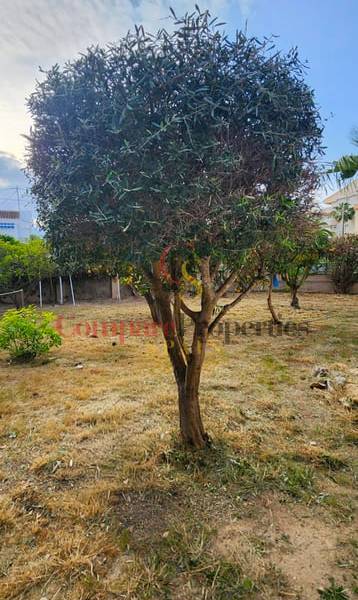 Verkoop - Villa - Albir