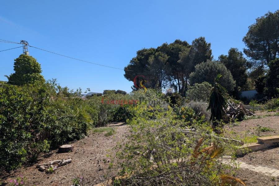 Venta - Plot - Benissa - Buenavista