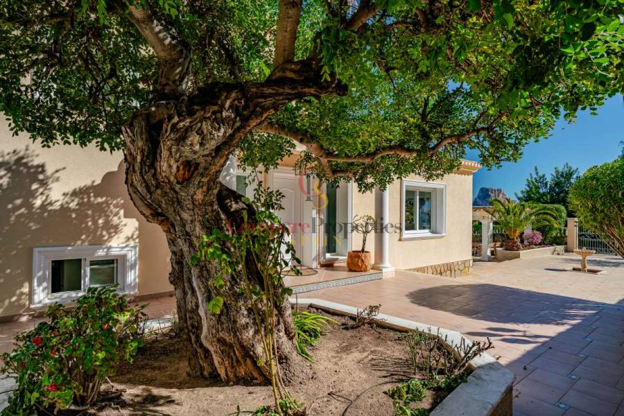 Vente - Villa - Calpe - 