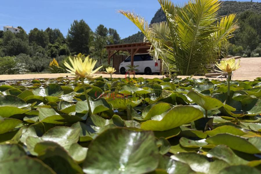 Sale - Villa - Orba Valley - 