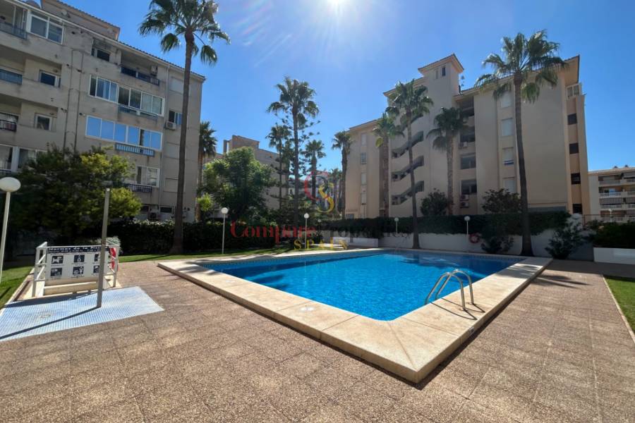 Verkoop - Apartment - Albir - Centro