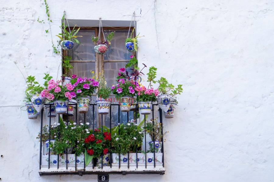 New Build - Duplex and Penthouses - Jávea - Casco urbano