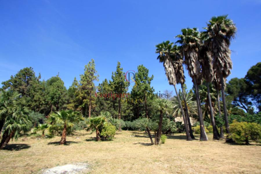 Sale - Villa - Orba Valley - Casco urbano