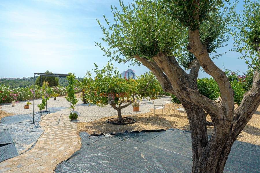 Verkoop - Villa - Calpe - 