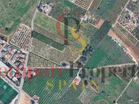 Venta - Plot - El Vergel - CAMPO