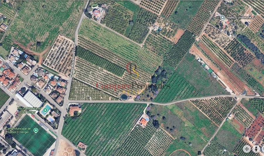 Venta - Plot - El Vergel - CAMPO
