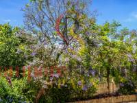 Venta - Villa - Orba Valley - 