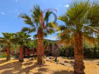 Vente - Villa - Jávea