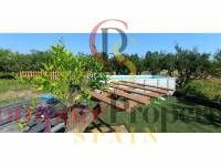 Sale - Apartment - Oliva - 
