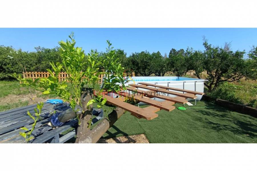 Sale - Apartment - Oliva - 