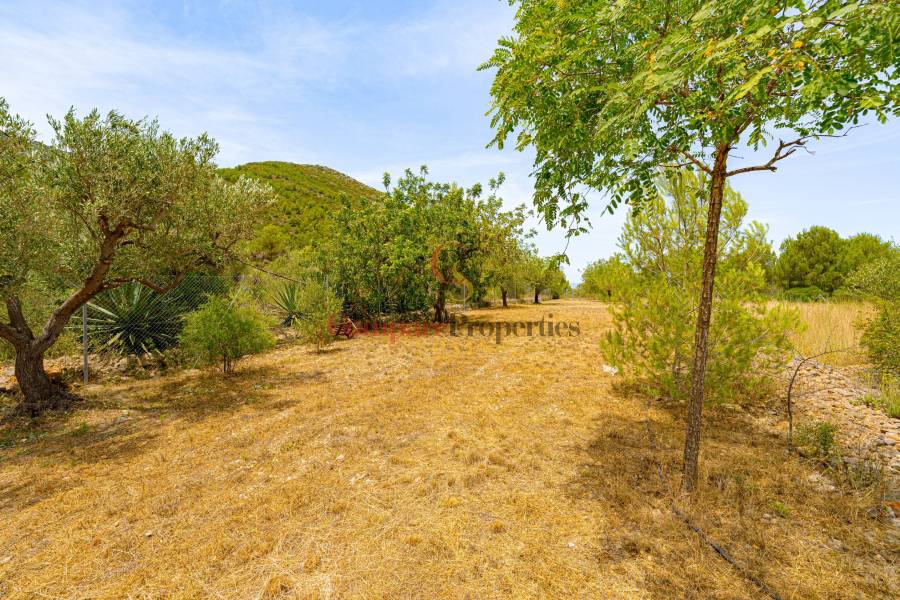 Sale - Villa - Jalon Valley - Comunidad valenciana