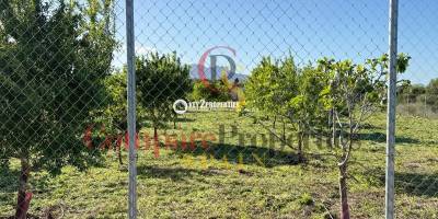 Plot - Sale - Dénia - Denia