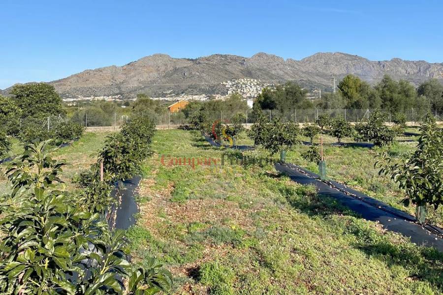 Vente - Villa - Orba Valley - Alicante, Orba Valley