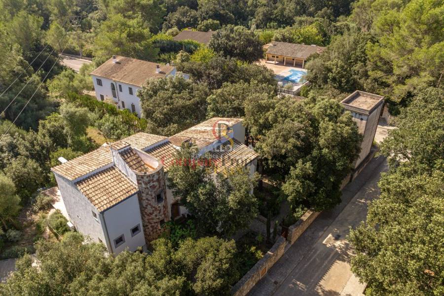 Vente - Apartment - Sa Pobla - Mallorca