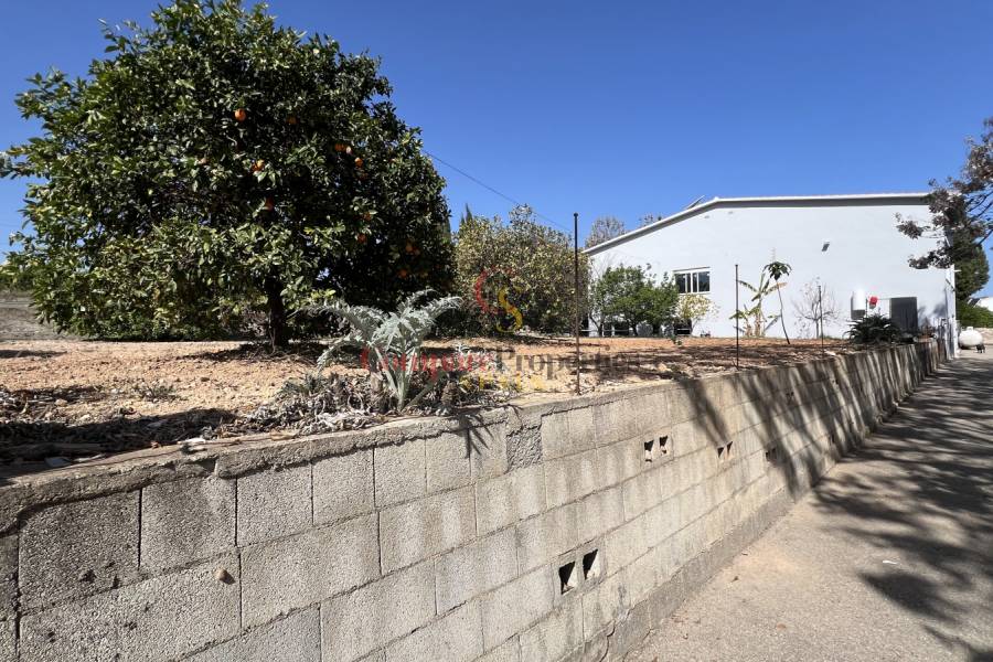 Venta - Villa - Pedreguer