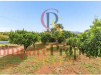 Verkoop - Villa - Dénia - LA XARA (la jara) Denia