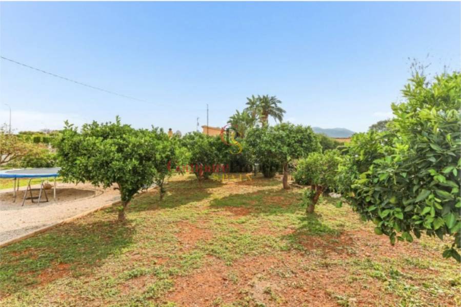 Verkoop - Villa - Dénia - LA XARA (la jara) Denia